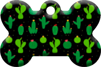 Cactus_03